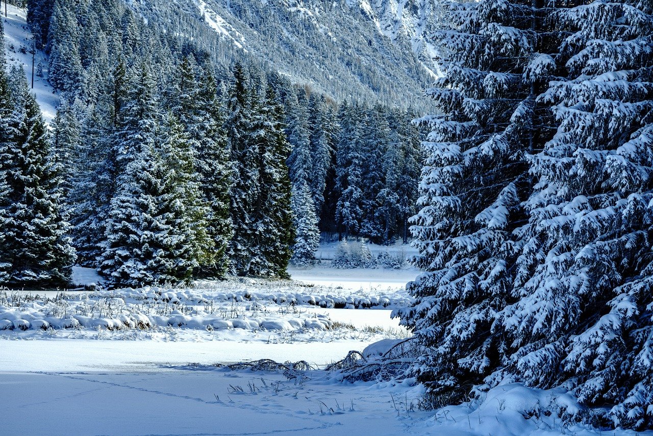 winter-7639603_1280